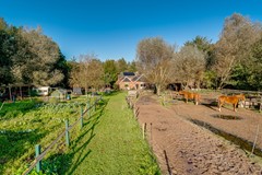Peppelmansdijk 12, 7011 JL Gaanderen - Peppelmansdijk 12 te Gaanderen-10.jpg